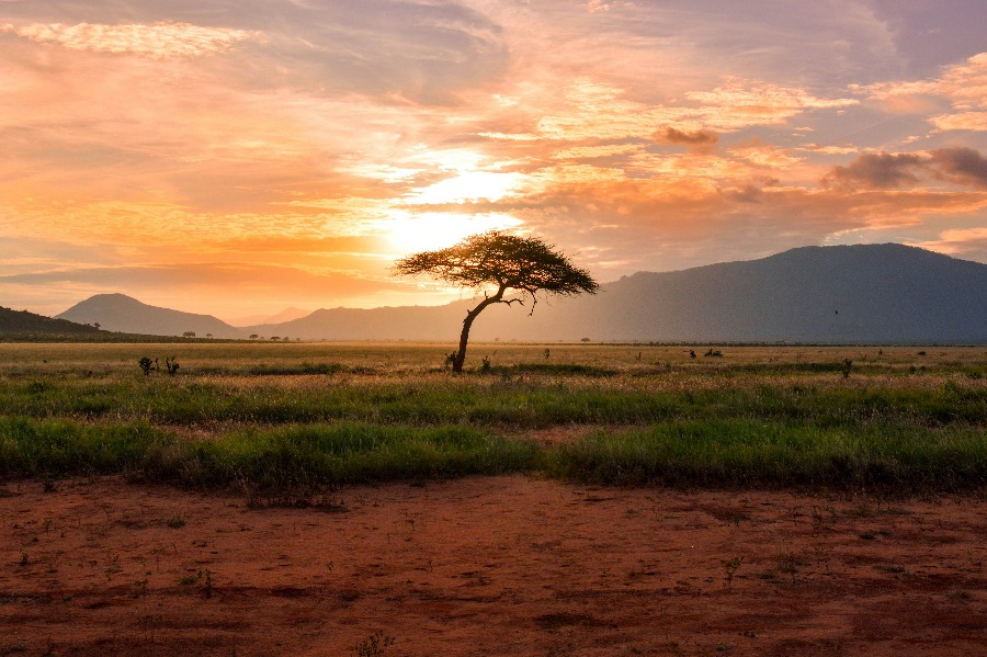 Safari by Private Jet