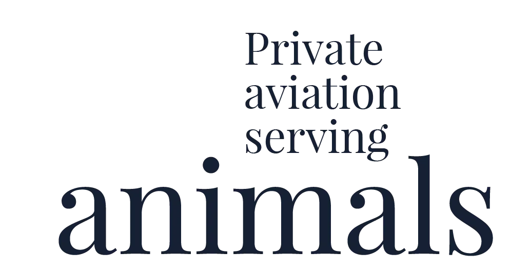 Flying with Pets