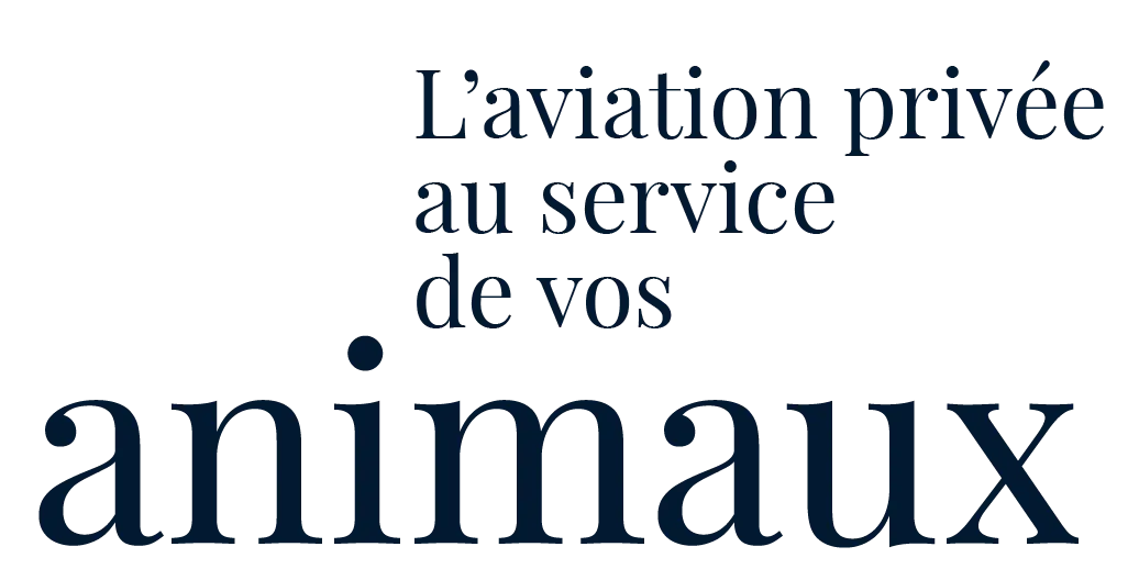 Louer un jet privé avec IBC Aviation