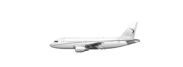A319 Corporate Jet