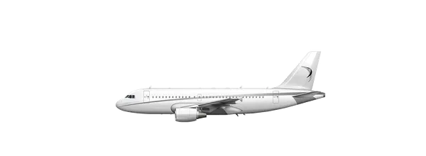 A319 Corporate Jet