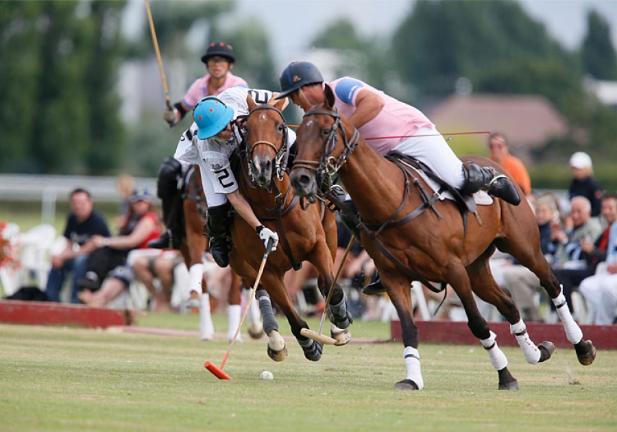 International Polo Cup