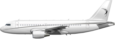 A319 Corporate Jet (ACJ)